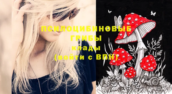 кристаллы Новозыбков