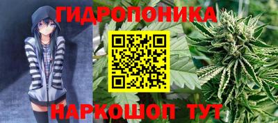 трава Заволжье
