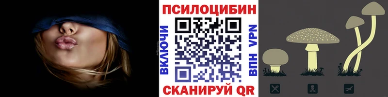 МЕГА ссылка  Нягань  Псилоцибиновые грибы мицелий  где найти наркотики 