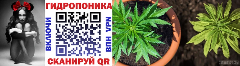 Бошки марихуана Bruce Banner  Нягань 
